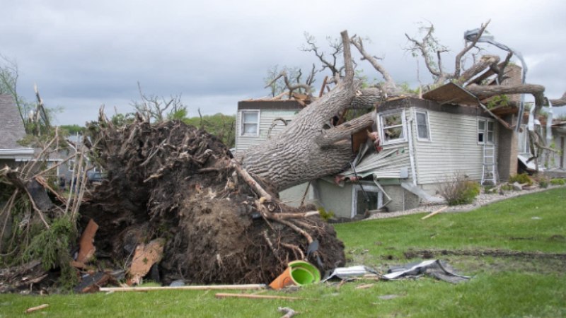 When Should You Call an Emergency Storm Damage Contractor in Hamilton, Ohio?